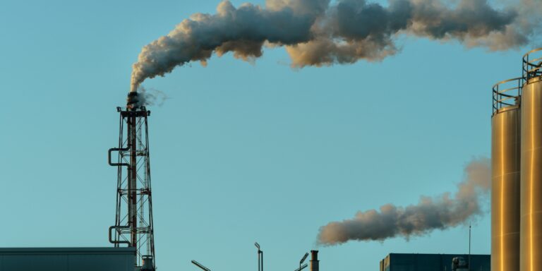 WTO Takes Action Towards Global Carbon Pricing